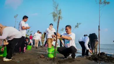 Abrasi Pantura Makin Berat, Ahmad Luthfi Dorong Mageri Segoro di Pantai Tirang